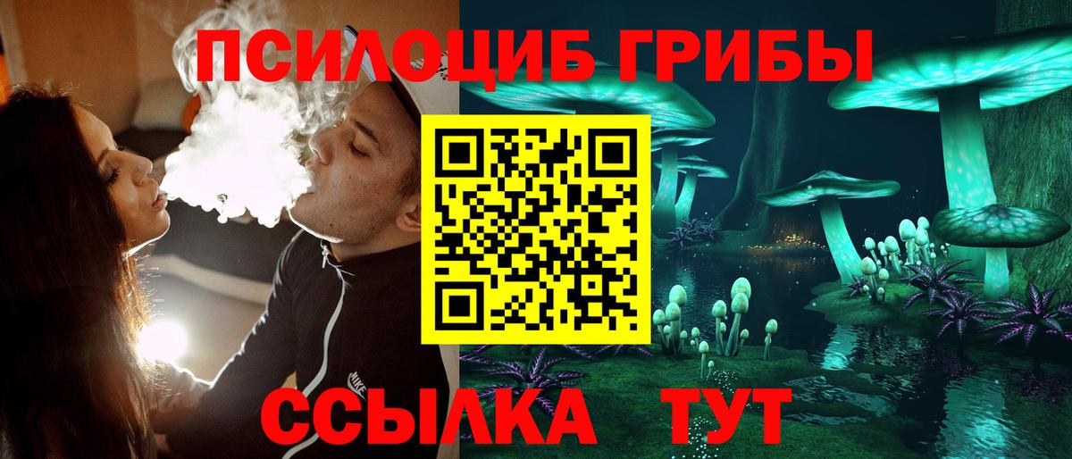 Псилоцибиновые грибы GOLDEN TEACHER Якутск